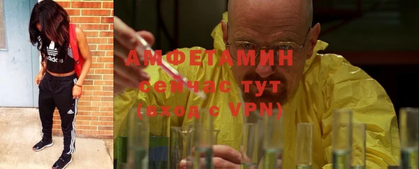 амф Арсеньев